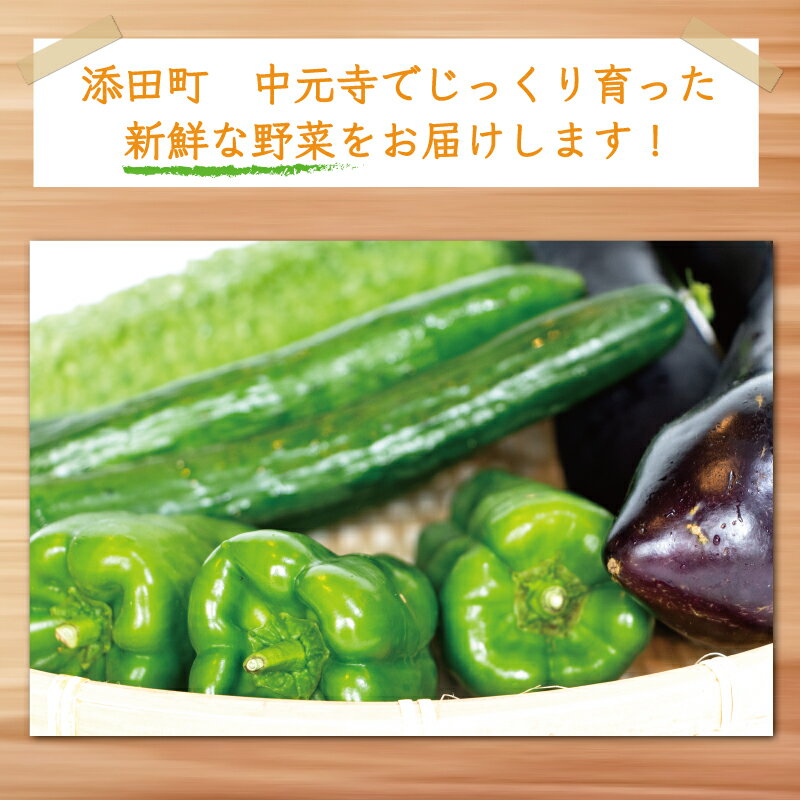 福岡県添田町の画像3