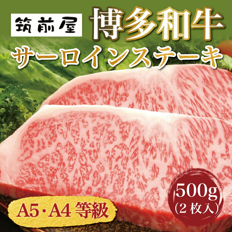 A5 A4 等級使用 博多和牛 サーロイン ステーキ用 500g(2枚入) [a0187] 株式会社チクゼンヤ ※配送不可:離島[返礼品]添田町 ふるさと納税