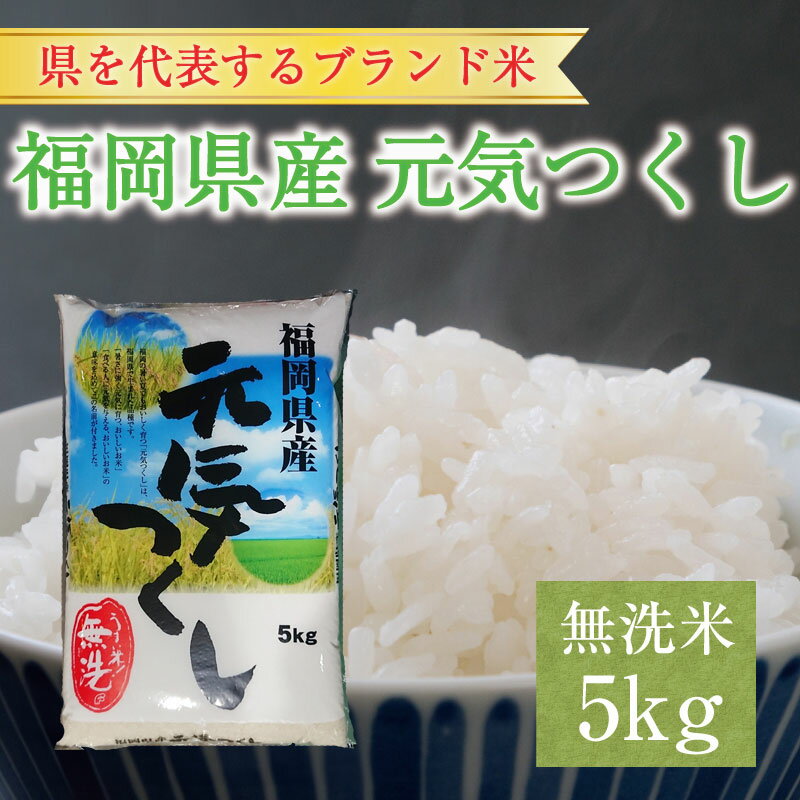 福岡県産 元気つくし 無洗米 5kg(5kg×1) [a9196] 株式会社 藤食糧 [返礼品]添田町 ふるさと納税