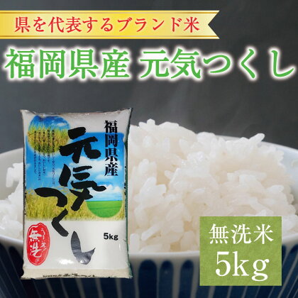 福岡県産 元気つくし 無洗米 5kg(5kg×1) [a9196] 株式会社 藤食糧 【返礼品】添田町 ふるさと納税