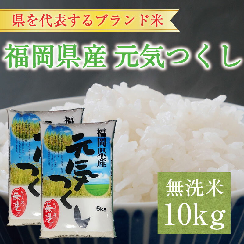 【ふるさと納税】福岡県産 元気つくし 無洗米 10kg(5kg×2) [a9197] 株式会社 藤食糧 【返礼品】添田町 ふるさと納税