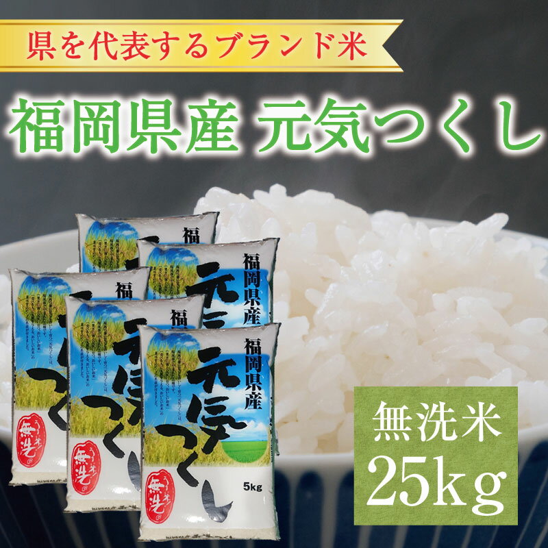 【ふるさと納税】福岡県産 元気つくし 無洗米 25kg(5kg×5) [a9198] 株式会社 藤食糧 【返礼品】添田町 ふるさと納税