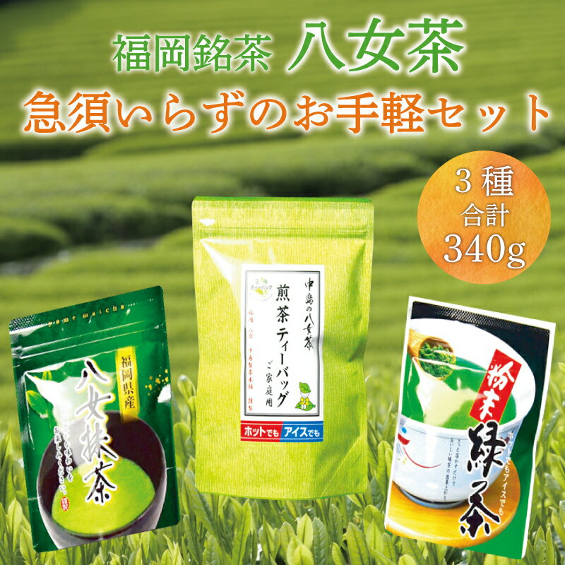 48位! 口コミ数「0件」評価「0」福岡 銘茶 八女茶 急須要らずのお手軽セット(便利なチャック付) [a0238] 株式会社マル五 【返礼品】添田町 ふるさと納税