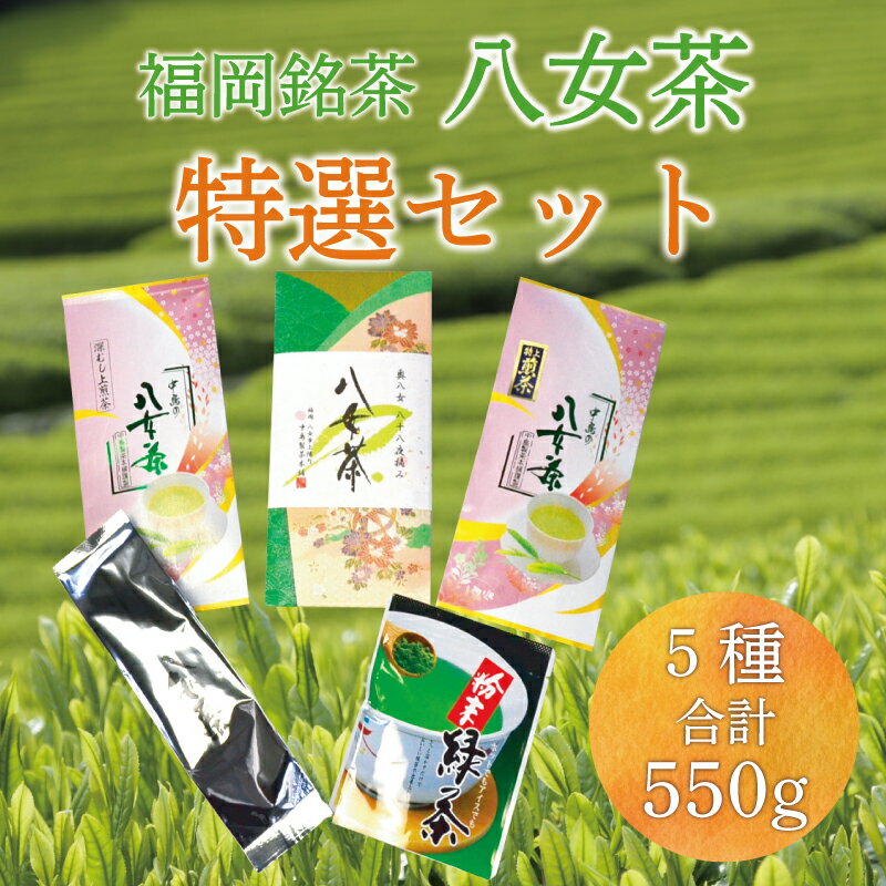 4位! 口コミ数「0件」評価「0」福岡 銘茶 八女茶 特選セット 5種合計550g 老舗製茶店の逸品 [a0239] 株式会社マル五 【返礼品】添田町 ふるさと納税