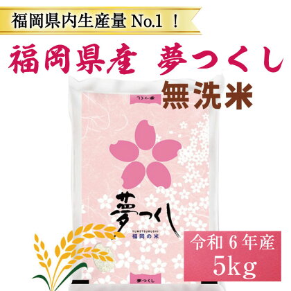 令和5年産 福岡県産 ブランド米「夢つくし」無洗米 5kg [a0245] 株式会社 ゼロプラス 【返礼品】添田町 ふるさと納税