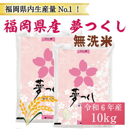 令和5年産 福岡県産 ブランド米「夢つくし」無洗米 計10kg [a0247] 株式会社 ゼロプラス 【返礼品】添田町 ふるさと納税