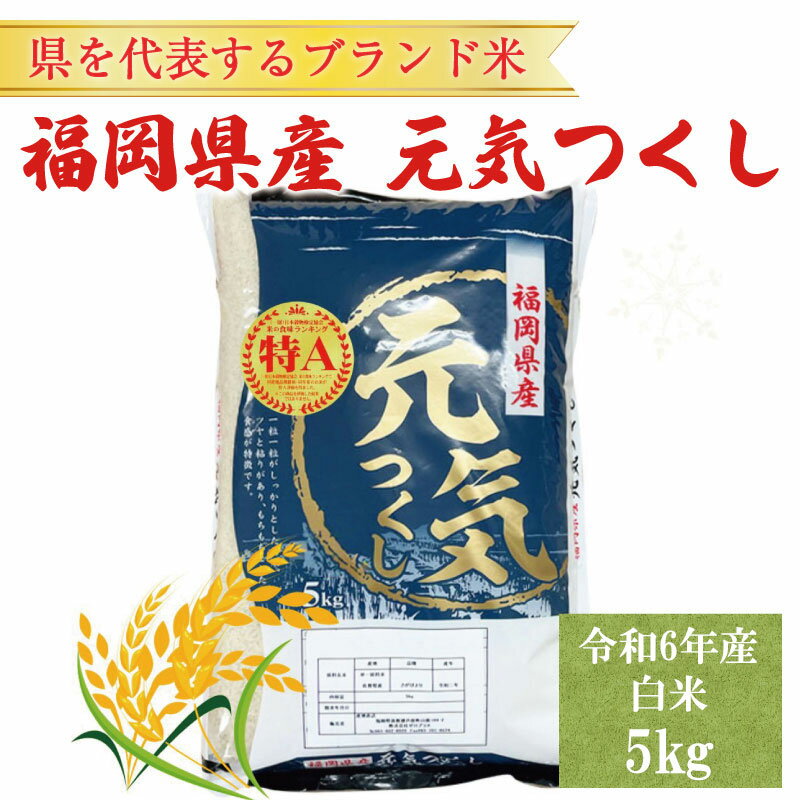 令和5年産 福岡県産 ブランド米「元気つくし」白米 5kg [a0255] 株式会社 ゼロプラス [返礼品]添田町 ふるさと納税