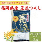 【ふるさと納税】令和5年産 福岡県産 ブランド米「元気つくし」白米 5kg [a0255] 株式会社 ゼロプラス 【返礼品】添田町 ふるさと納税