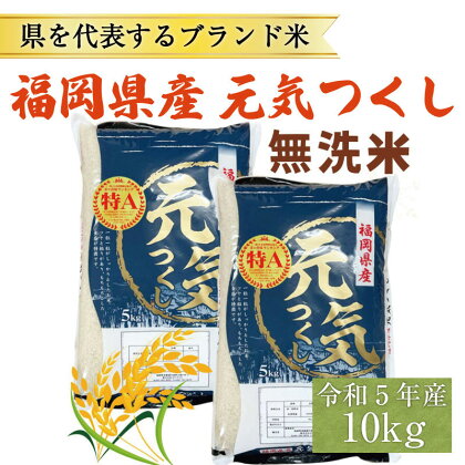 令和5年産 福岡県産 ブランド米「元気つくし」無洗米 10kg [a0258] 株式会社 ゼロプラス 【返礼品】添田町 ふるさと納税