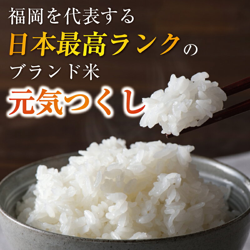 【ふるさと納税】令和8年産 福岡県産 ブランド米「元気つくし」無洗米 10kg [a7258] 株式会社 ゼロプラス 【返礼品】添田町 ふるさと納税 f406023-soeda-10000734 福岡県添田町 サンプル画像3