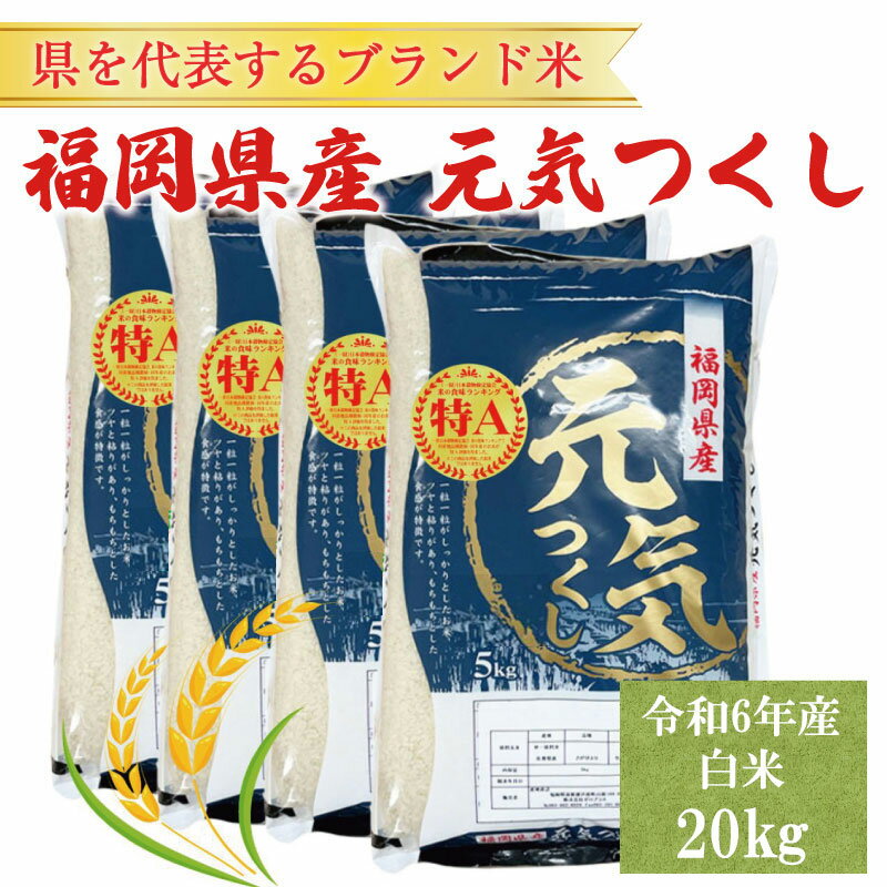 47位! 口コミ数「0件」評価「0」令和5年産 福岡県産 ブランド米「元気つくし」白米 20kg [a0259] 株式会社 ゼロプラス 【返礼品】添田町 ふるさと納税