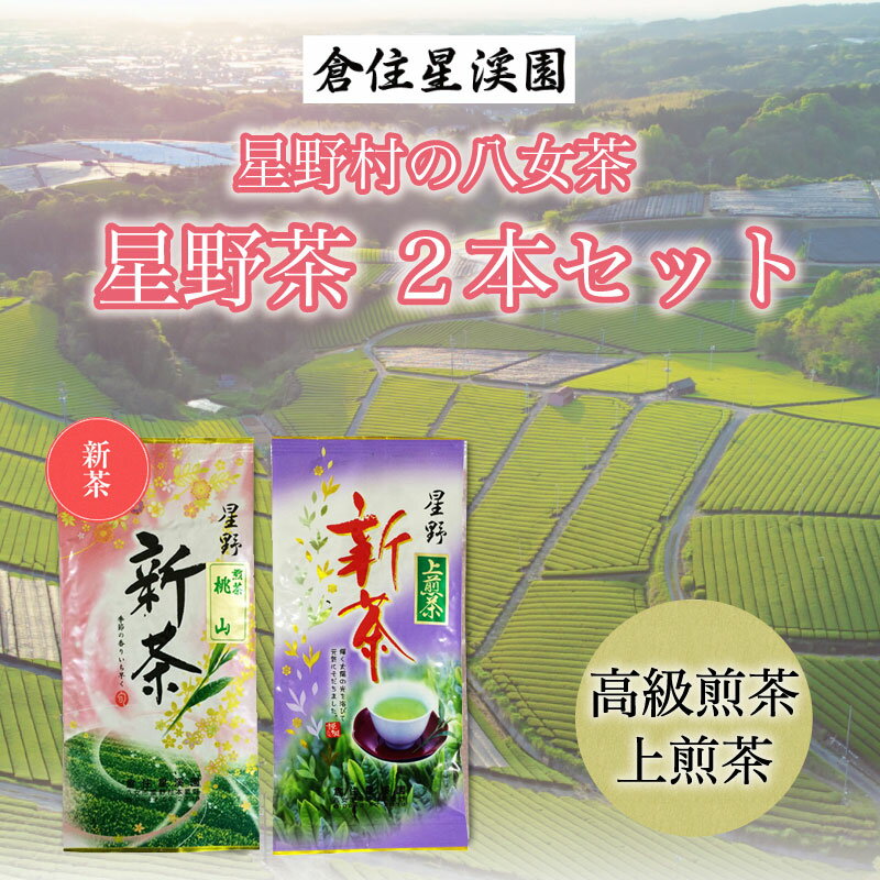 5位! 口コミ数「0件」評価「0」「新茶」星野村の八女茶 2本セット [a9273] 株式会社 ゼロプラス 【返礼品】添田町 ふるさと納税