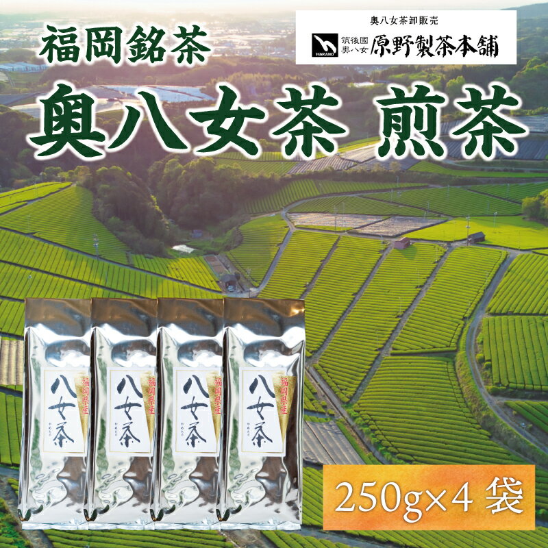 7位! 口コミ数「0件」評価「0」八女茶 1kg(250g×4袋) [a0346] 有限会社原野製茶本舗 【返礼品】添田町 ふるさと納税