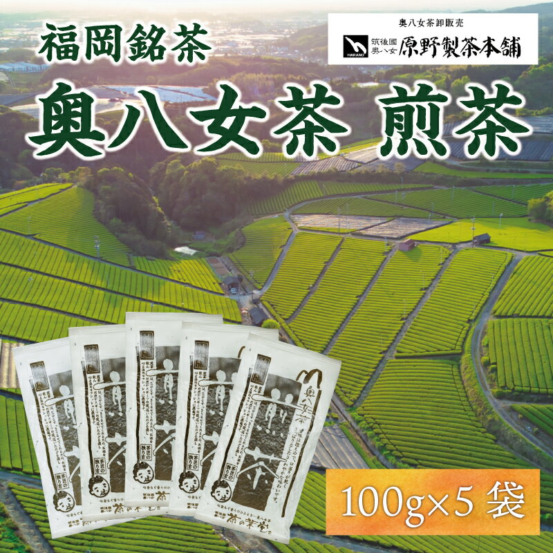 2位! 口コミ数「0件」評価「0」八女茶 煎茶 5袋セット(100g×5袋) [a0347] 有限会社原野製茶本舗 【返礼品】添田町 ふるさと納税