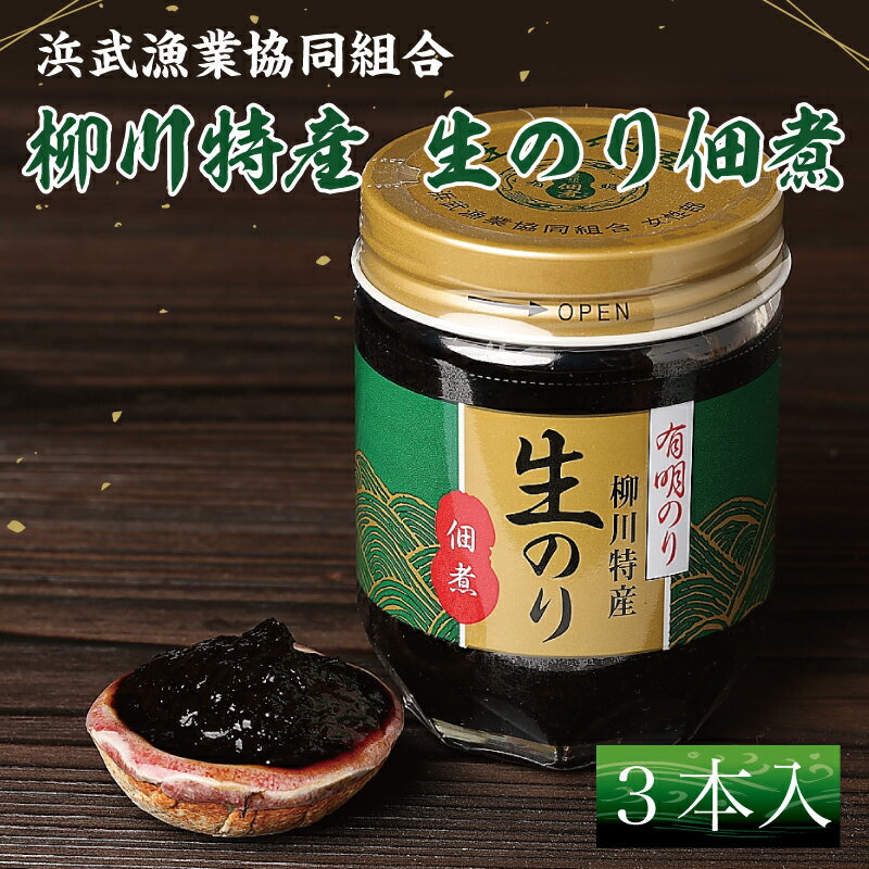 【ふるさと納税】有明のり 柳川特産 生のり佃煮 3本入 [a0376] 藤井乾物店 【返礼品】添田町 ふるさと納税