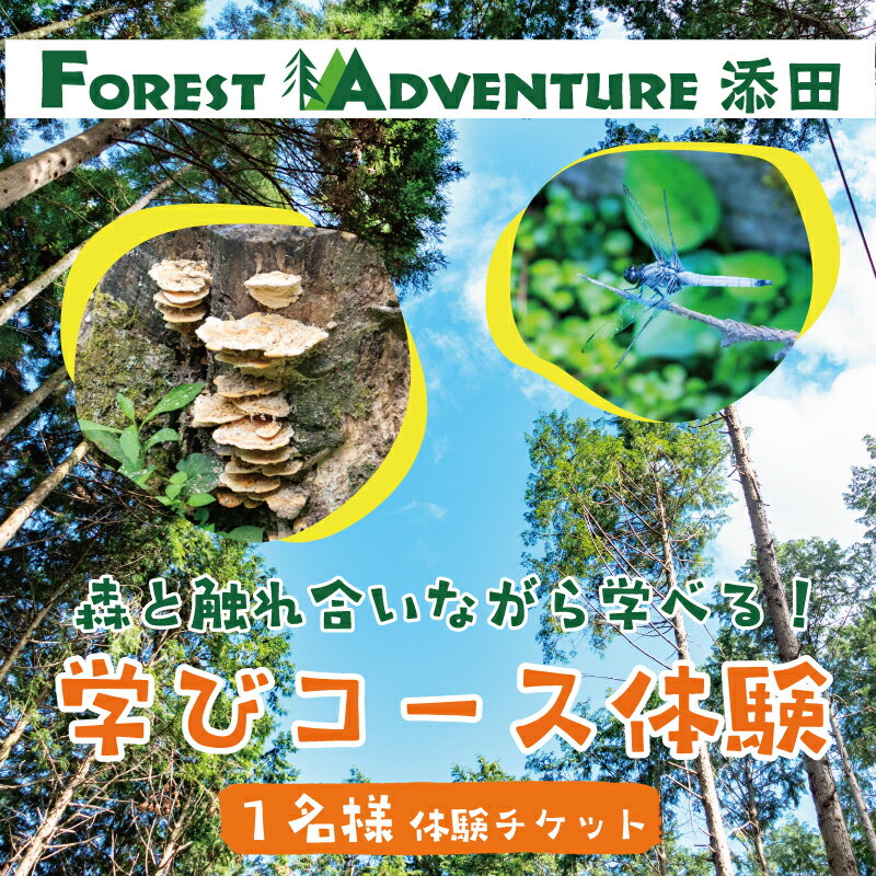 森と触れ合いながら学べる!ワンヘルスコース 1名様体験チケット [a0413] 株式会社 FOREST DEN [返礼品]添田町 ふるさと納税