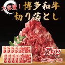 yӂ邳Ɣ[Łz󂠂Ia؂藎Ƃ 5kg(500g~10p) [a0446] Meat Plus zsFyԗizYc ӂ邳Ɣ[