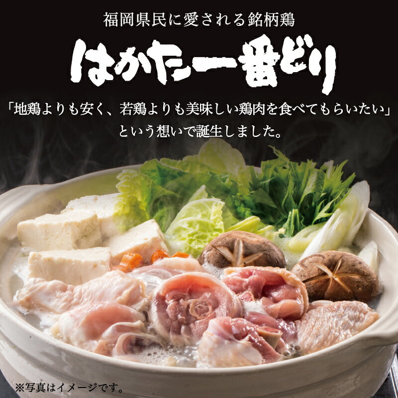 【ふるさと納税】はかた一番どり モモ・ムネ盛り合わせ(計2kg) [a0466] 株式会社 ゼロプラス ※配送不可：離島【返礼品】添田町 ふるさと納税 3