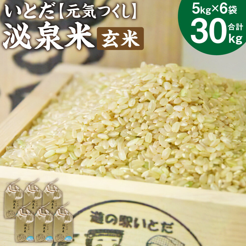 【ふるさと納税】いとだ泌泉米 玄米 30kg (5kg×6袋) 元気つくし ご飯 お米 令和5年度 福岡県 糸田町産 送料無料