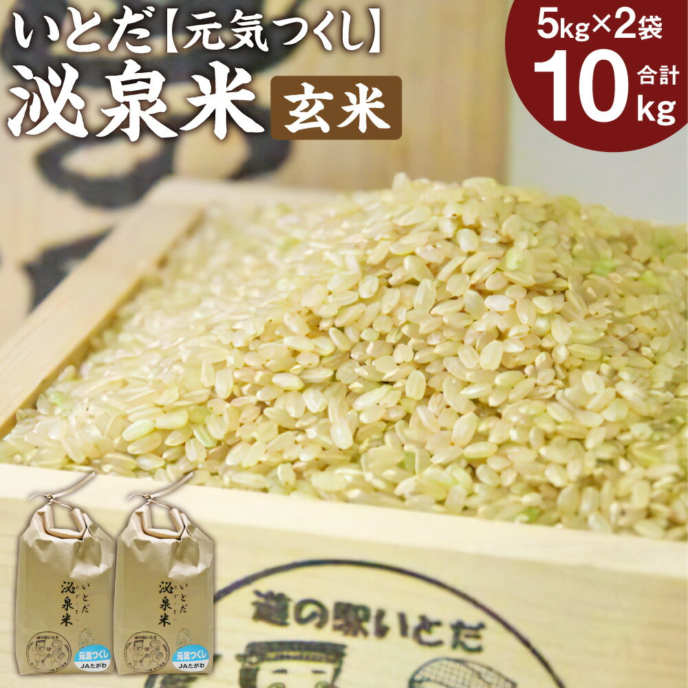 いとだ泌泉米 玄米 10kg (5kg×2袋) 元気つくし ご飯 お米 令和5年度 福岡県 糸田町産 送料無料
