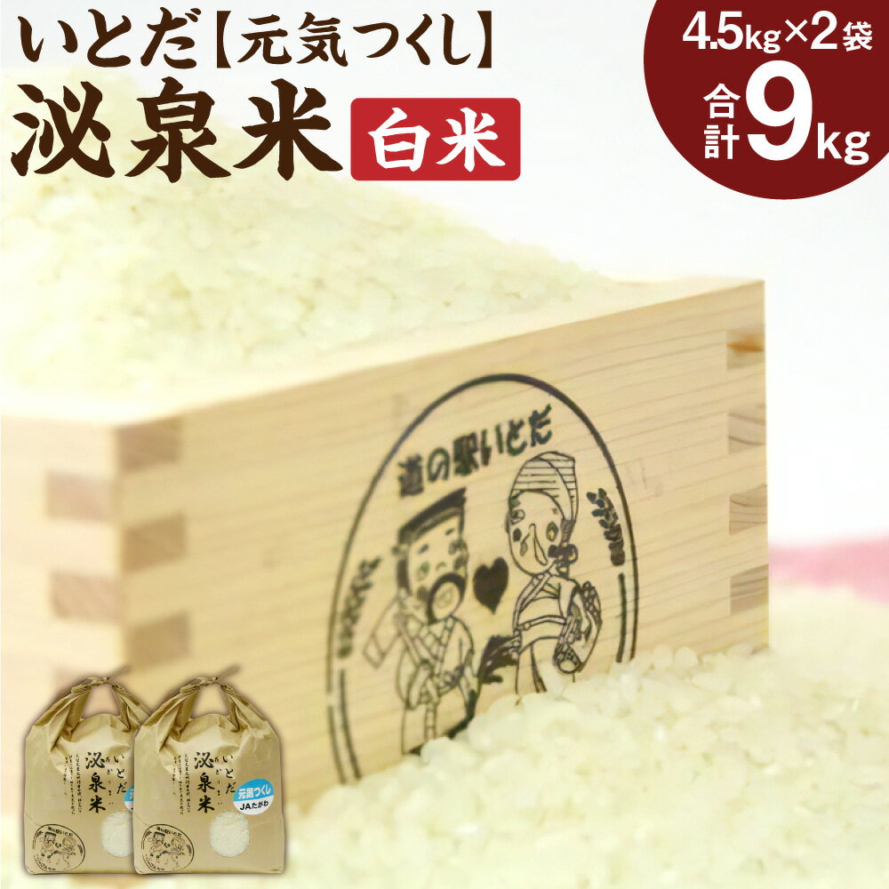 【ふるさと納税】【令和7年産】いとだ泌泉米 白米 9kg (4.5kg×2袋) 元気つくし ご飯 お米 福岡県 糸田町産 送料無料