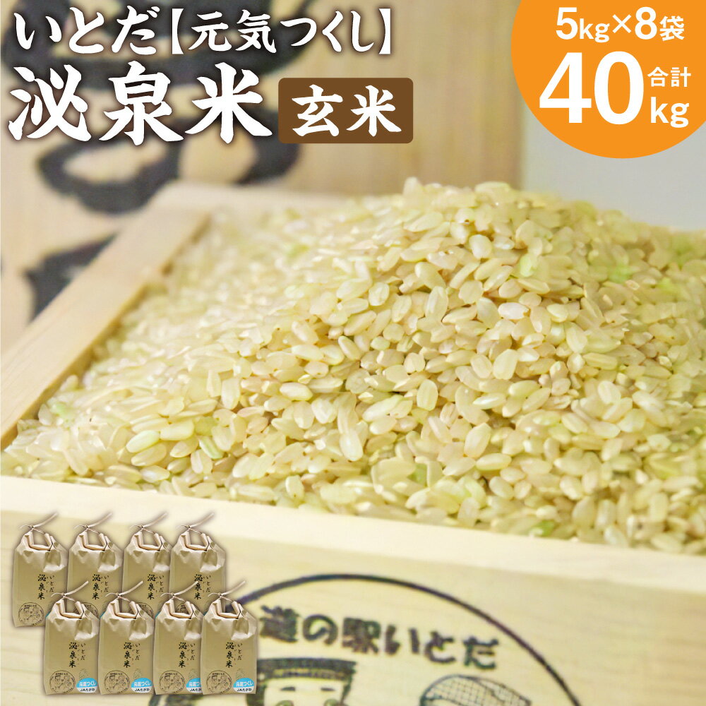 いとだ泌泉米 玄米 40kg (5kg×8袋) 元気つくし ご飯 お米 令和5年度 福岡県 糸田町産 送料無料