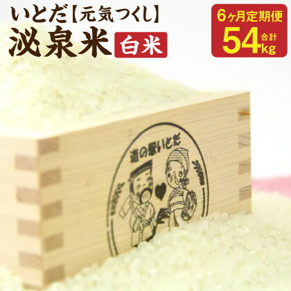 【6ヵ月 定期便】 いとだ泌泉米 白米 9kg (4.5kg×2袋) 総合計54kg 6回 元気つくし ご飯 お米 毎月お届け 九州産 福岡県 糸田町産 送料無料