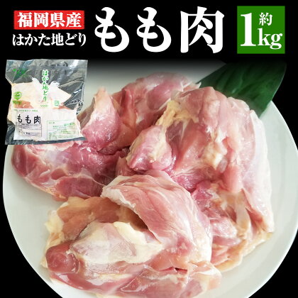 福岡県産 地鶏 はかた地どり もも肉 約1kg 鶏肉 鶏 モモ肉 博多地鶏 地どり 国産 福岡県 冷凍発送 送料無料