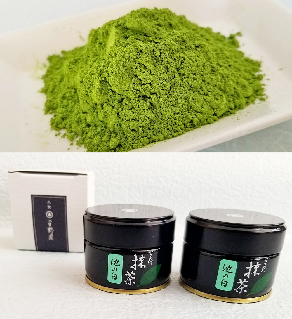 【ふるさと納税】八女抹茶 (約20g×2缶) 合計約40g パウダー 抹茶用 缶 お茶 抹茶 緑茶 日本茶 粉末 飲み物 国産 福岡県産 九州産 送料無料