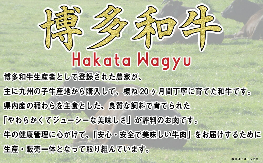 【ふるさと納税】福岡の豊かな自然で育った 博多和牛 しゃぶしゃぶ用 約1,400g ( 約700g × 2パック ) ブリスケ 九州産 国産牛 黒毛和牛 和牛 牛肉 うす切り スライス しゃぶしゃぶ すき焼き 福岡県産 冷凍 送料無料