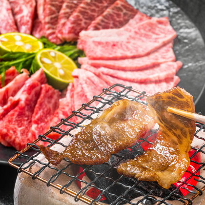 博多和牛 焼肉用 500g 黒毛和牛 牛肉 和牛 牛バラ 肩ロース モモ 焼肉 BBQ 冷凍 国産 九州産 福岡県産 送料無料