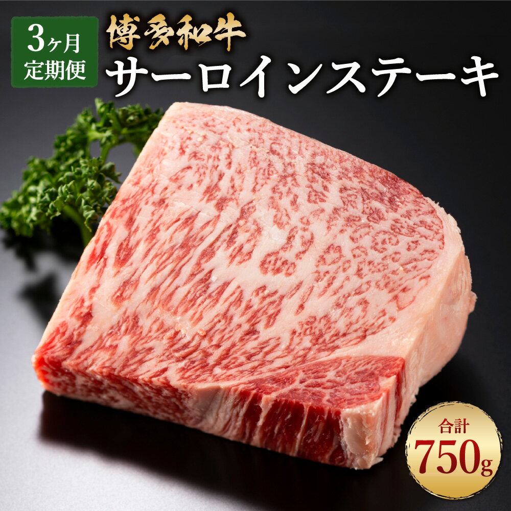 [3回定期便]サーロインステーキ 250g×1枚×3回 総合計750g 博多和牛 黒毛和牛 和牛 牛肉 肉 サーロイン ステーキ 国産 冷凍発送 送料無料