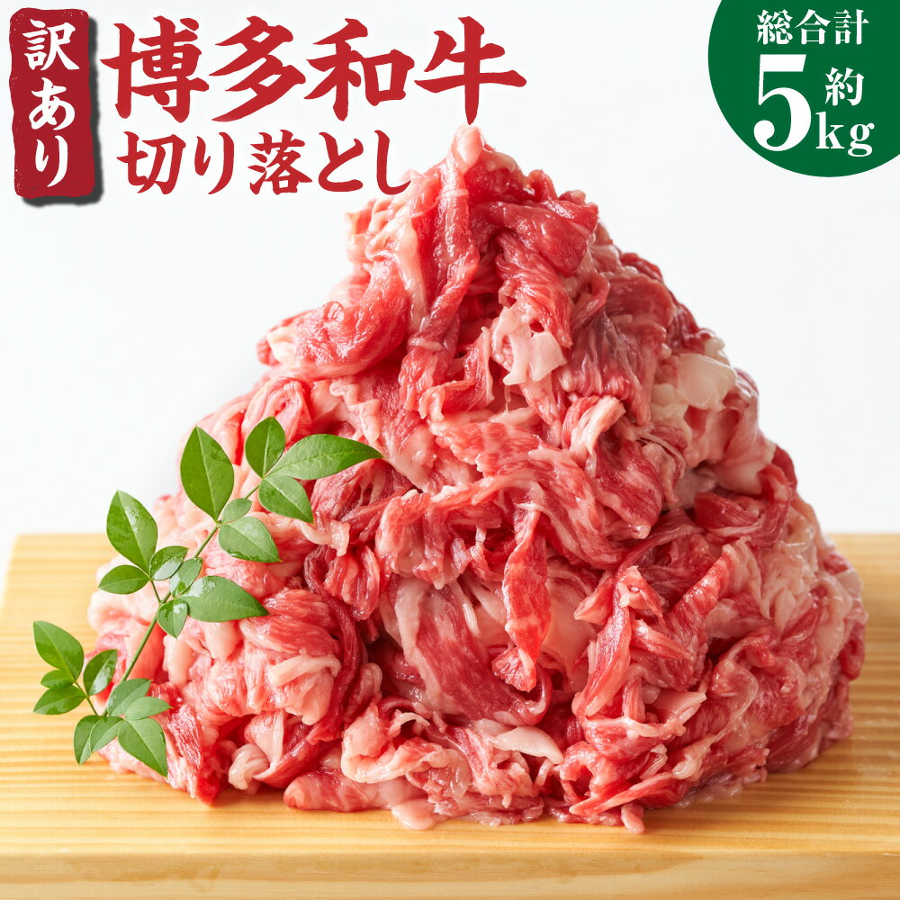 訳あり! 博多和牛 切り落とし 5kg 約500g×10パック 牛肩 バラ 黒毛和牛 和牛 牛肉 福岡県 送料無料