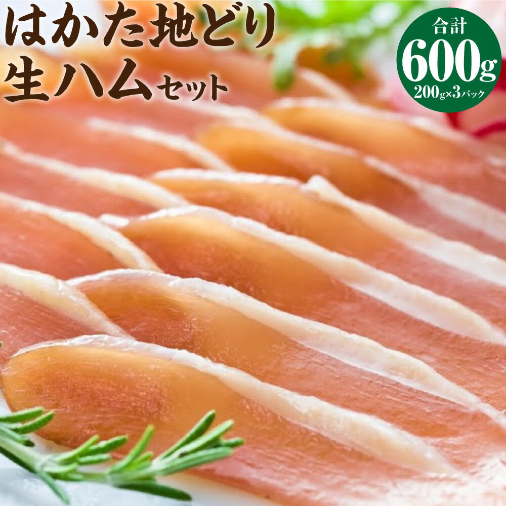 はかた 地どり 生ハム セット 600g (200g×3パック) ハム 博多地どり 鶏肉 肉 お肉 セット 詰め合わせ 小分け 冷凍 福岡県 糸田町 送料無料