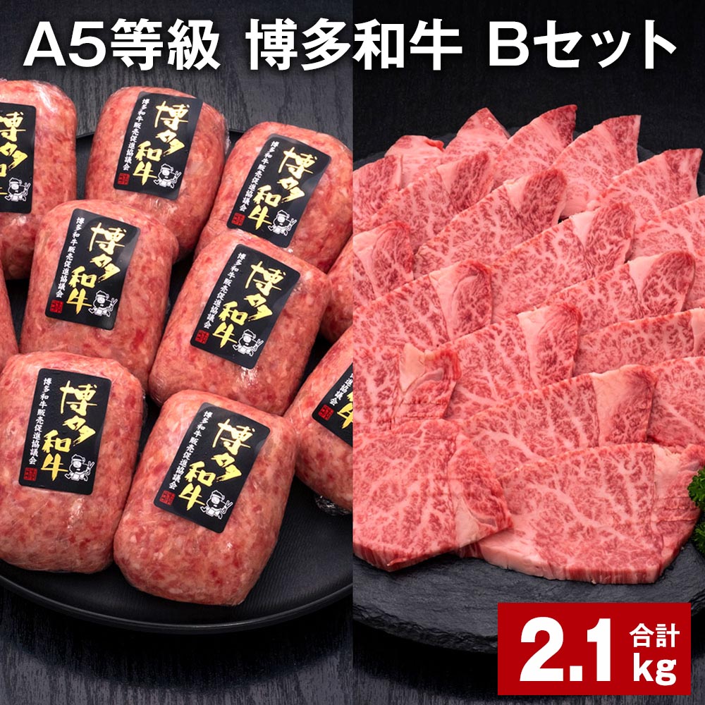 A5等級 博多和牛 Bセット 計2.1kg 博多和牛100%贅沢本格手ごねハンバーグ [訳あり]博多和牛ヒレ焼肉 牛肉 お肉 和牛 冷凍 福岡県産 国産 九州 福岡県 糸田町 送料無料