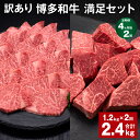 【ふるさと納税】【定期便】【4ヶ月毎2回】【訳あり】博多和牛 満足セット 計2.4kg(1.2kg×2回) 博多和牛ヒレサイコロステーキ 博多和牛ヒレ焼肉 牛肉 お肉 和牛 ヒレ肉 冷凍 福岡県産 国産 九州 福岡県 糸田町 送料無料