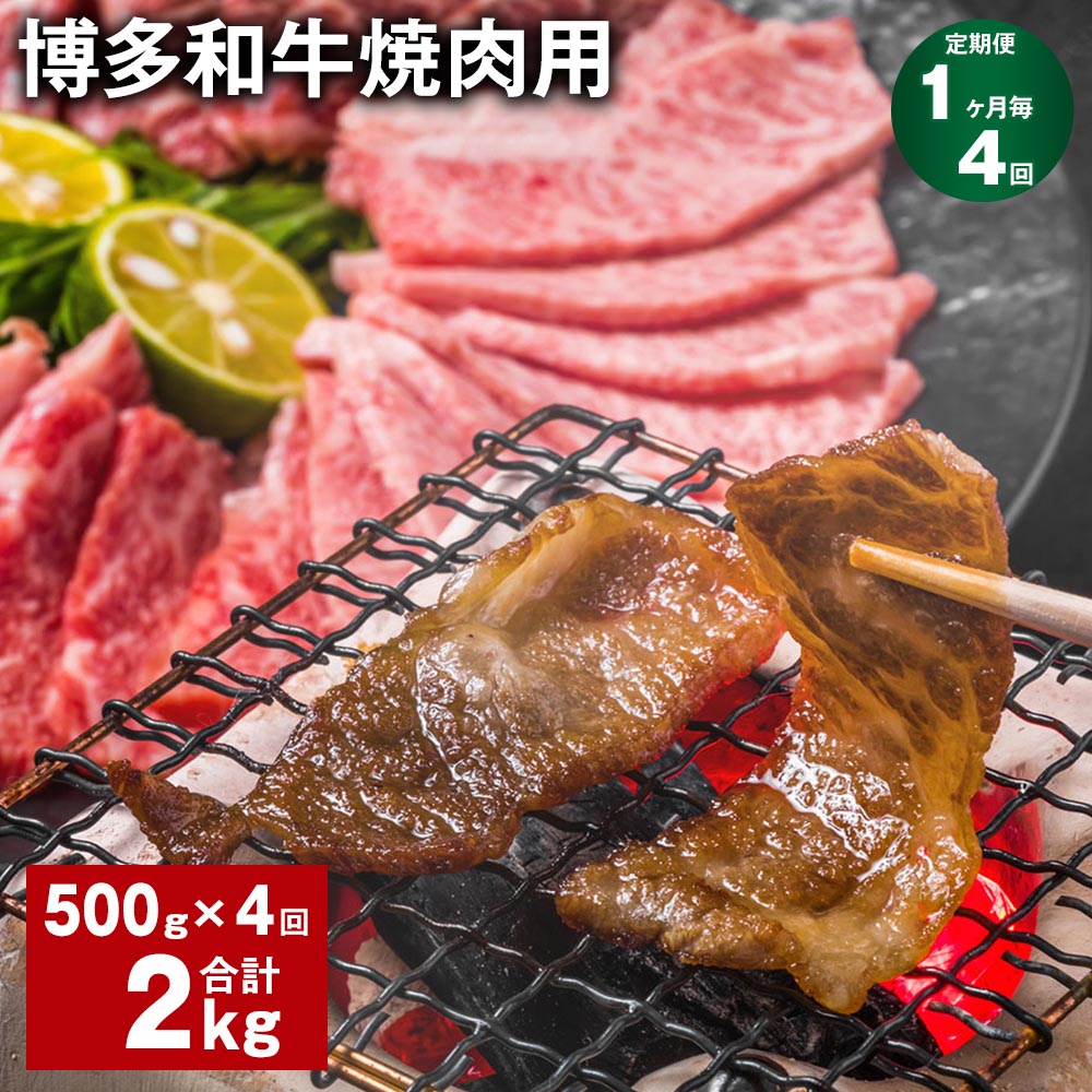 【定期便】【1ヶ月毎4回】博多和牛焼肉用 500g×1パック 計2kg（500g×4回） 牛バラ 肩ロース モモ 牛肉 お肉 黒毛和牛 冷凍 国産 福岡県産 九州 福岡県 糸田町 送料無料