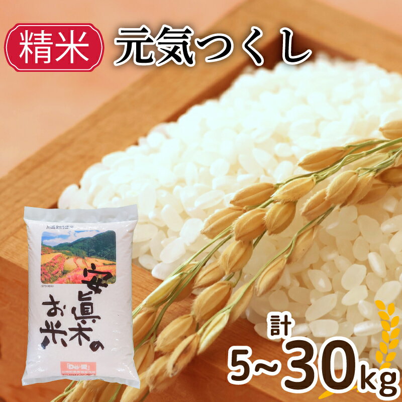 52位! 口コミ数「1件」評価「5」新米 元気つくし 令和7年産 5kg～30kg 定期便 選べる容量 精米 生活応援米 米 お米 コメ ごはん ご飯 おこめ こめ 白米 備蓄 長持ち 防災 夕食 晩ごはん 地震 緊急 避難 福岡 川崎