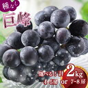 【ふるさと納税】【2025年8月中旬から発送】訳あり 種なし巨峰2kg( 川崎町産 )ブドウ ぶどう 果物 フルーツ デザート スイーツ 果樹園 国産 新鮮くだ...