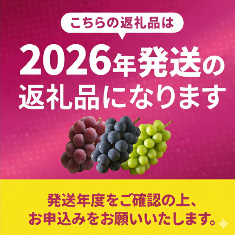 【ふるさと納税】 2026年先行予約 訳あり 種なし巨峰2kg 種無し 巨峰 （ 川崎町産 ）ブドウ ぶどう 果物 フルーツ デザート スイーツ 果樹園 国産 新鮮くだもの フルーツ 葡萄 朝採れ 産地直送 ご家庭 贈答 人気 ギフト 先行予約 旬 数量限定 お中元 お盆 福岡県 川崎町
