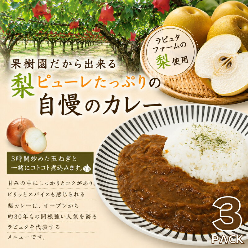 梨ピューレたっぷり ラピュタファーム 特製 梨カレー3個セット カレー レトルト 簡単調理 冷凍 本格 湯煎 防災 レストラン 詰め合わせ 自然 福岡 川崎