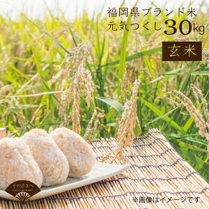 【ふるさと納税】 福岡県認定 地域資源 「 元気つくし」 30kg （玄米） 送料込