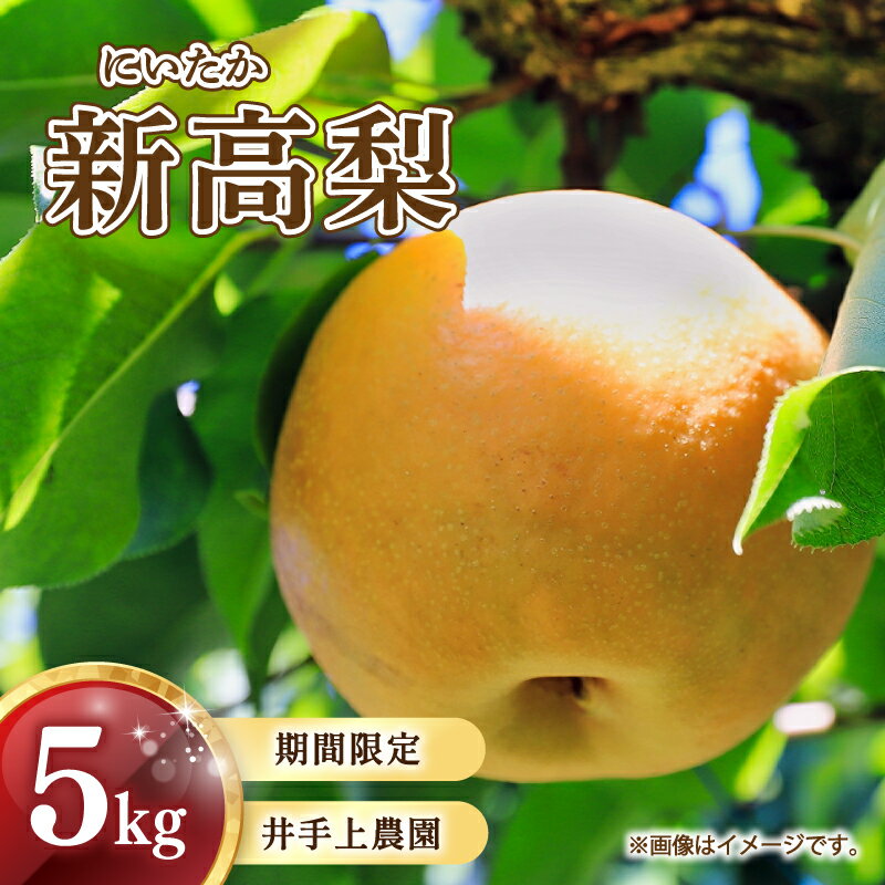 【ふるさと納税】【レビューキャンペーン中】＼先行予約受付中／大きく甘い実が特徴 生産者支援 井手上農園 直送 川崎町産 梨 ( 新高 ) 5kg 詰め合わせ なし ナシ 2023 先行 秋 旬 産直 5キロ 果物 フルーツ 大きい 品種 取り寄せ ふるさと X3のサムネイル