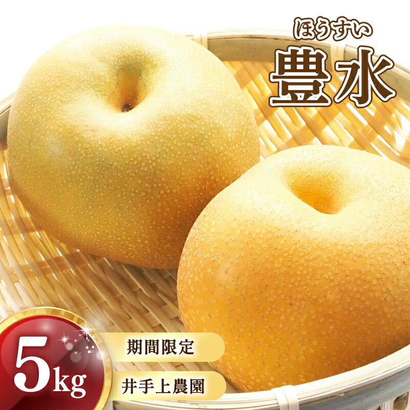 【ふるさと納税】 生産者支援 井手上農園 直送 川崎町産 梨 ( 豊水 ) 5kg 詰め合わせ なし 果物 フルーツ (X6)のサムネイル