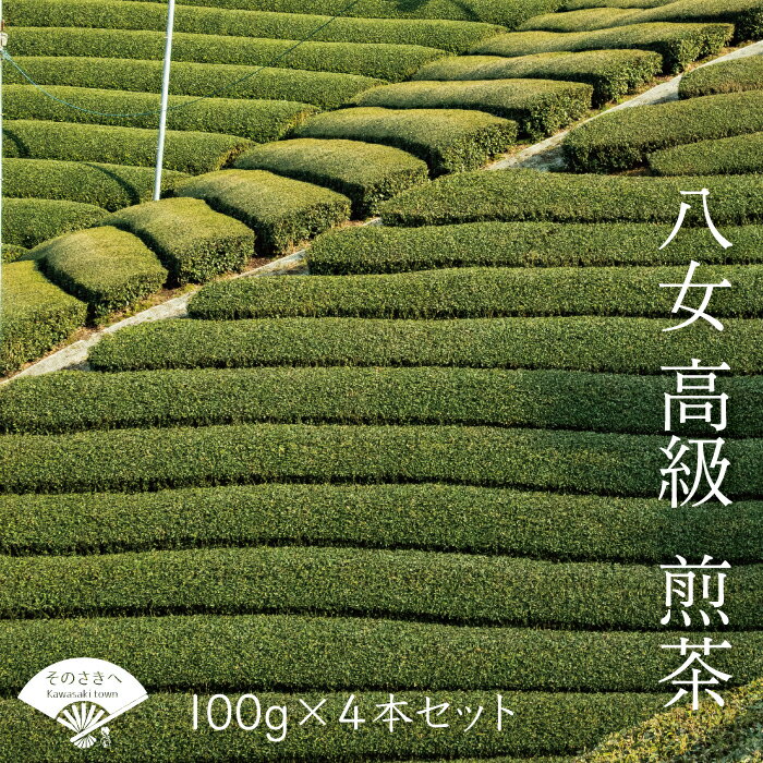 西村園茶舗 人気ナンバー1! 八女 高級煎茶 100g × 4本 セット 送料込 N2