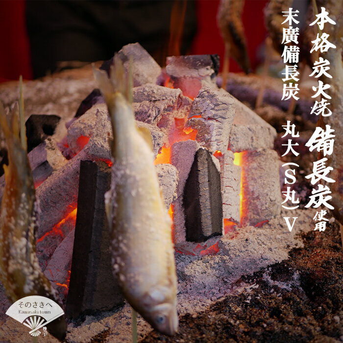 【ふるさと納税】各種木炭専門総合商社【末廣備長炭】丸大(S丸)V 送料込