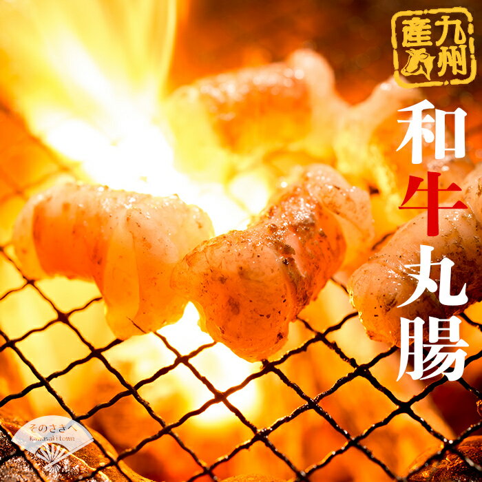 九州産 和牛 ぷりぷり 丸腸 500g 牛若丸 自家製 タレ付 セット 送料込 ホルモン たれ 焼肉 牛 2B6