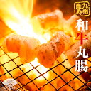 【ふるさと納税】 九州産 和牛 ぷりぷり 丸腸 500g 牛若丸 自家製 タレ付 セット 送料込 ホルモン たれ 焼肉 牛 2B6