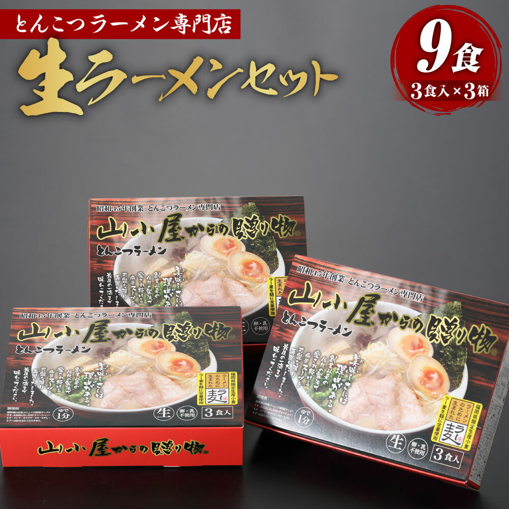 昭和45年創業 とんこつラーメン専門店 山小屋からの贈り物 3食入り×3箱 合計9食 ラーメン とんこつラーメン 豚骨ラーメン ラー麦 送料無料