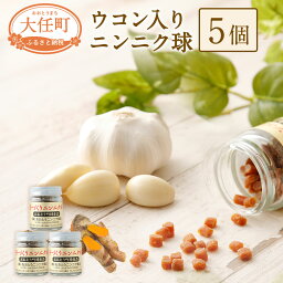 【ふるさと納税】ウコン入りニンニク球5個セット 20g×5個 国産 栄養補助食品 サプリメント サプリ にんにく うこん 玉 瓶入 送料無料